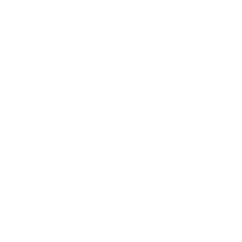 bitglass.cl